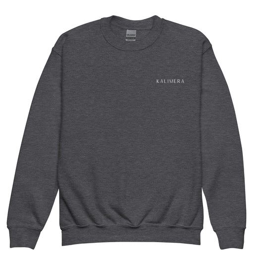 Dark Heather youth crewneck sweatshirt