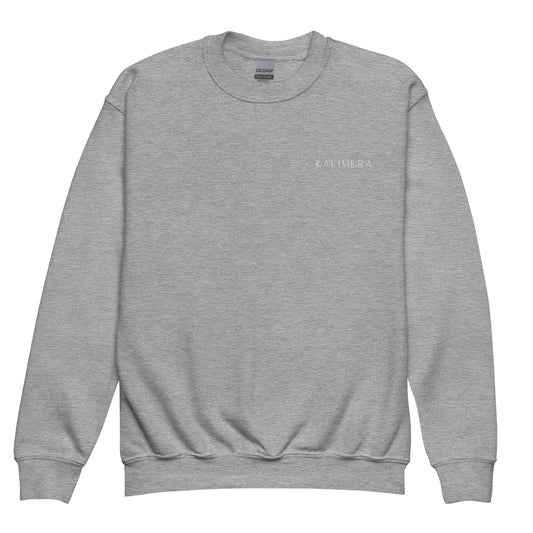 Sport grey youth crewneck sweatshirt